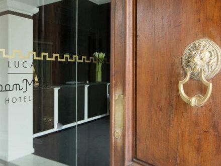 ルーム メイト ルカ 写真