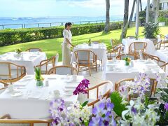 ハレクラニ 写真