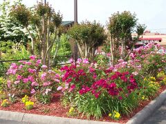 クオリティ イン クリントン - ノックスビル ノース 写真