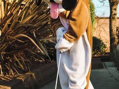 アンバー スプリングス ホテル 写真