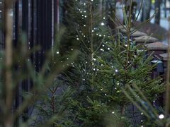 ヴィラ ウェスセット 写真