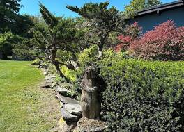 ホテル ヴェルヴァナ, トレードマーク コレクション バイ ウィンダム 写真