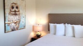 アイアン ホース イン