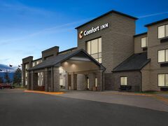 コンフォート イン メトロ エアポート 写真