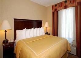 コンフォート スイーツ コダック セヴィアビル 写真