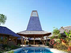 マリンギスンバ 写真