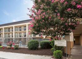 クオリティ イン マーチャンツ ドライブ 写真