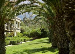 グレコテル メリ パレス 写真