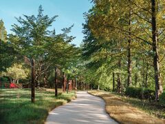 キノック ペット ホテル 写真