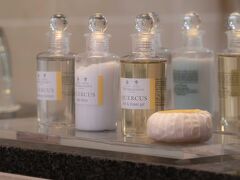 ロイヤル ガーデン ホテル 写真