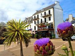 Hotel du port 写真