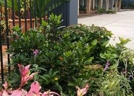 Shady Rest Motel 写真