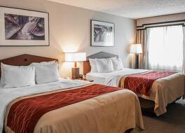 コンフォート イン 写真