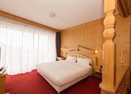 Alexain Hotel Restaurant & Wellness 写真