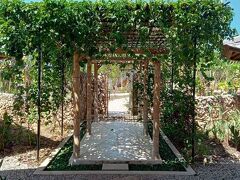 マリンギスンバ 写真