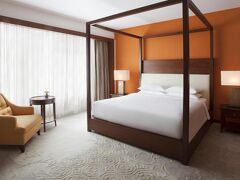 パーク ハイアット チェンナイ 写真