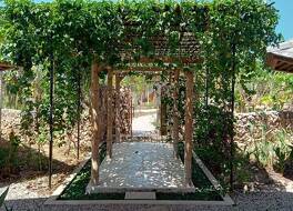 マリンギスンバ 写真