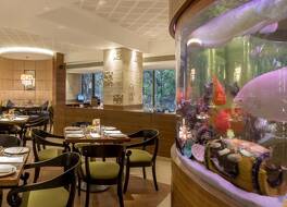 ジ インターナショナル バイ トゥンガ 写真