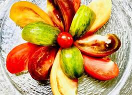 Hôtel Restaurant du Plomb du Cantal 写真