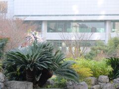 ダブルツリー バイ ヒルトンホテル 上海 浦東 写真