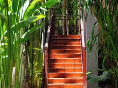 マルベリー コレクション シルク マリーナ 写真