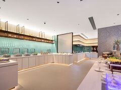 Hilton Garden Inn Handan She County 写真