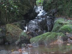 クラウズ メープルトン 写真
