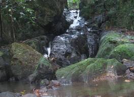 クラウズ メープルトン 写真