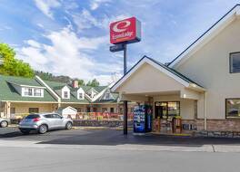 エコノ ロッジ イン & スイーツ ガトリンバーグ アット ザ コンベンション センター 写真