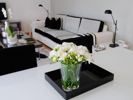 パノラミック リビング 写真