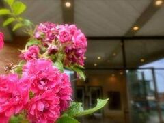 Beausejour Apartments - Hotel Dorval 写真