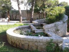 ホテル アストリア 写真