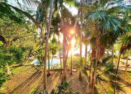 ムベニ ルインズ & ガーデンズ 写真