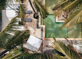 サハリ ザンジバル