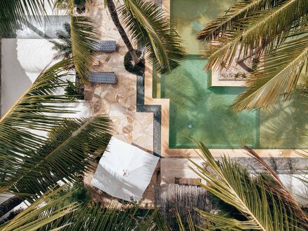 サハリ ザンジバル 写真