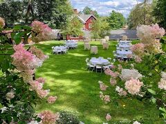 スプリングサイド イン 写真