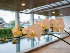 ゼン ブティック ヴィラ ホイアン 写真