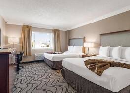 ジャック ロンドン イン 写真