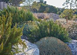 シャトー カピトゥール 写真