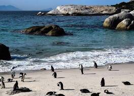 The Grosvenor Guest House 写真