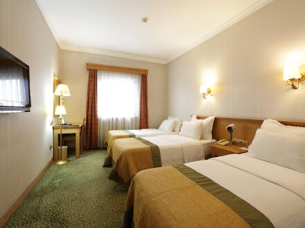 Usta Park Hotel 写真