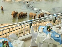 ホテル ピンナワラ 写真