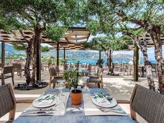 ゼウス エレバ ミラベロ ベイ 写真