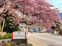 ミレニアム ホテル クィーンズタウン 写真