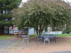 ザ アップル イン 写真