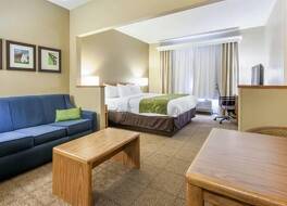 コンフォート スイーツ キーンランド 写真