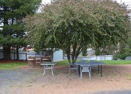 ザ アップル イン 写真