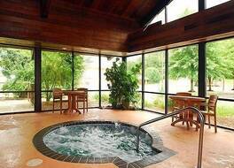 クオリティ イン & スイーツ セバービル - ピジョン フォージ 写真