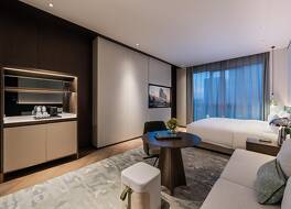 Novotel Xian Xixian 写真