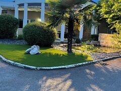 チューリップ イン ボーヌ 写真